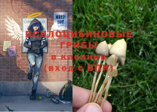 mix Новозыбков
