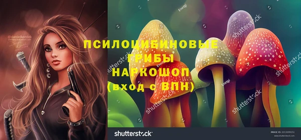 соль курить ск Новодвинск