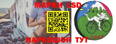 стаф Донской