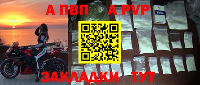 стаф Донской