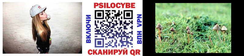 наркотики  Крымск  Псилоцибиновые грибы Psilocybe 