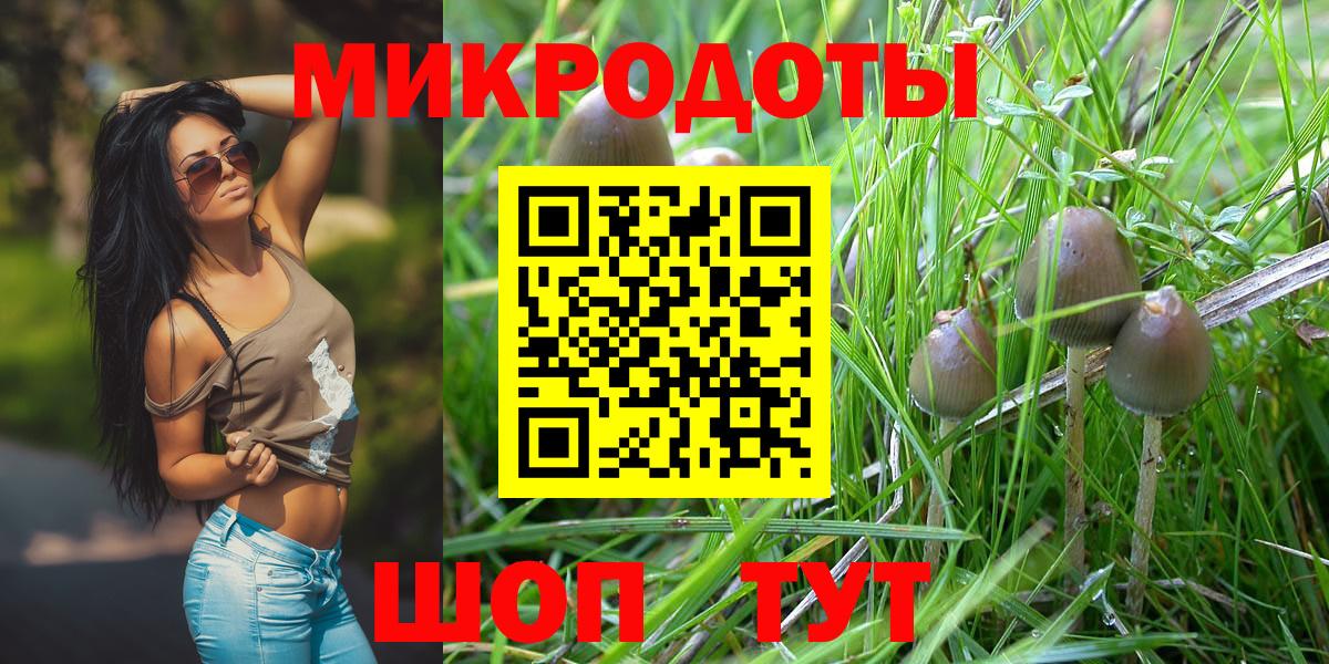 Псилоцибиновые грибы Magic Shrooms  Крымск 