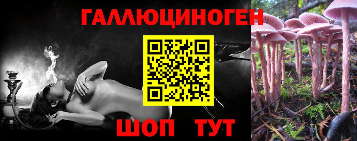 Галлюциногенные грибы мицелий Крымск