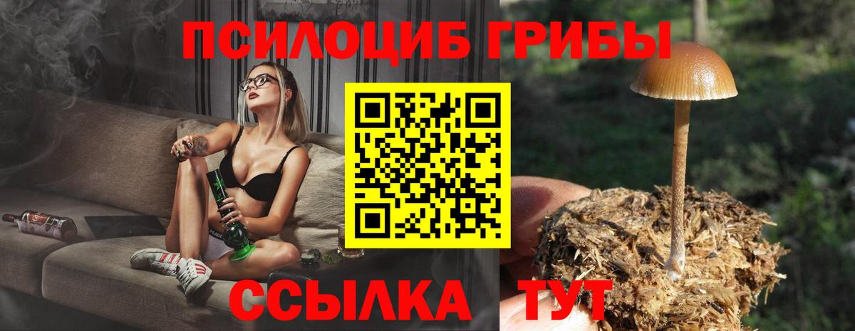 даркнет сайт  Вход с VPN  Крымск  Галлюциногенные грибы Magic Shrooms 